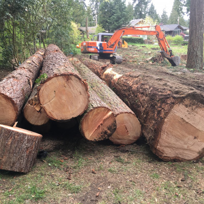 portfolio logs mill lumber clear lot kenmore wa