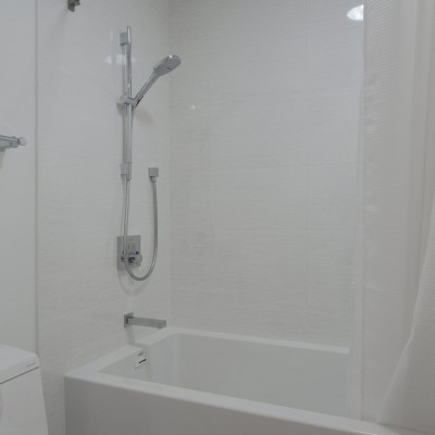hansgrohe shower fixture chrome bathroom remodel mill creek